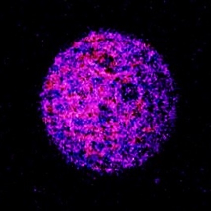 NOT YOUR AVERAGE ROCK IN THE SKY 3i ATLAS UPDATE