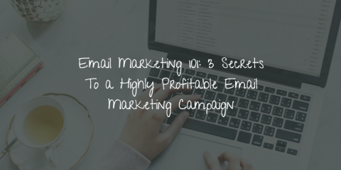 Email Marketing 101: 3 Secrets To a Highly Profitable Email Marketing Campaign